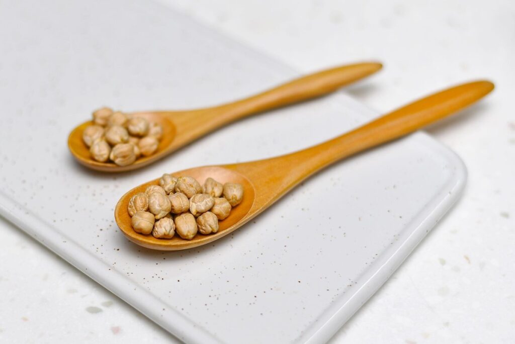 growing garbanzo beans