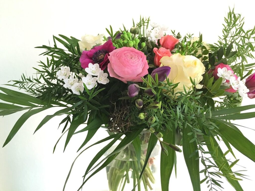 how to grow jasmine from cuttings