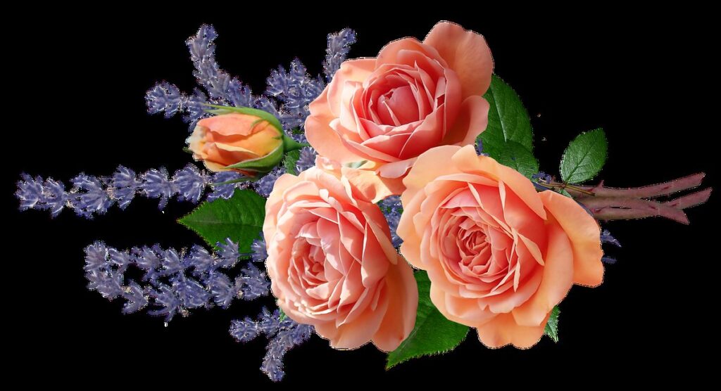 lavender cuttings in water