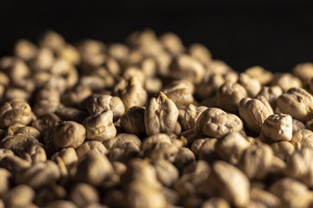 spring seeds to start indoors