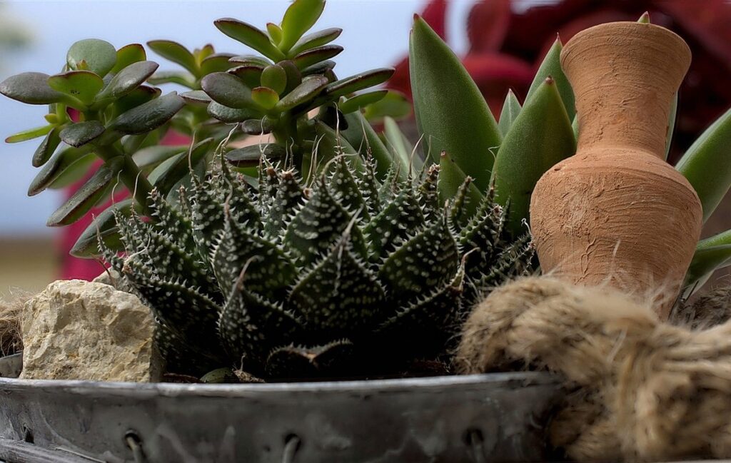 gritty mix for succulents