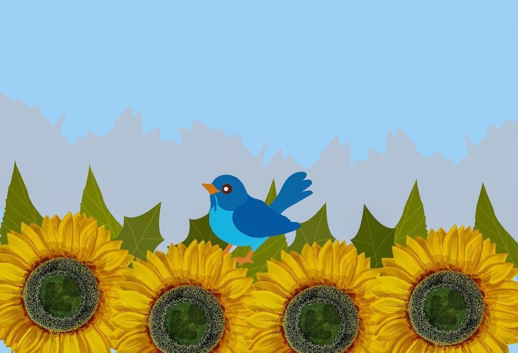 sunflower garden design