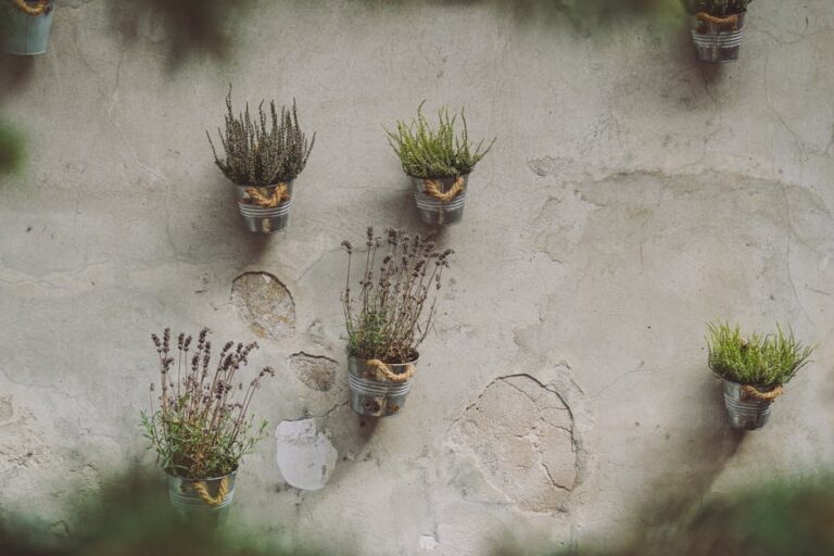 vertical gardening small spaces