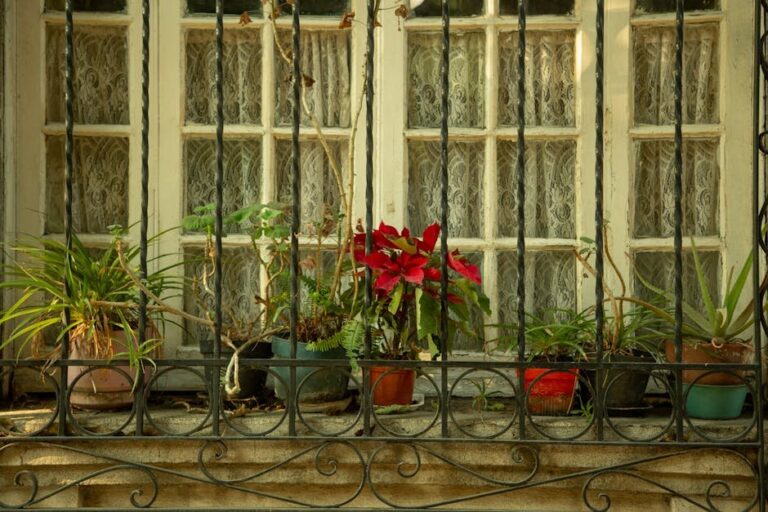 window sill herb garden