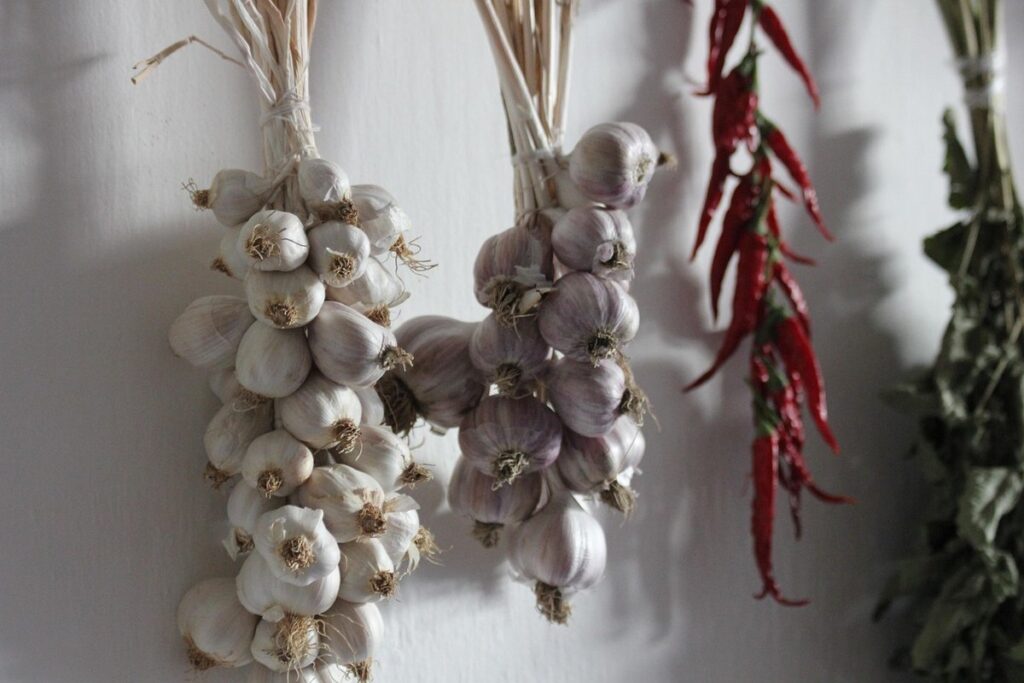 hanging garlic
