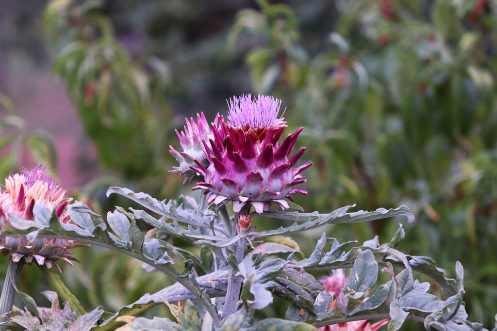 pollinator friendly vegetables