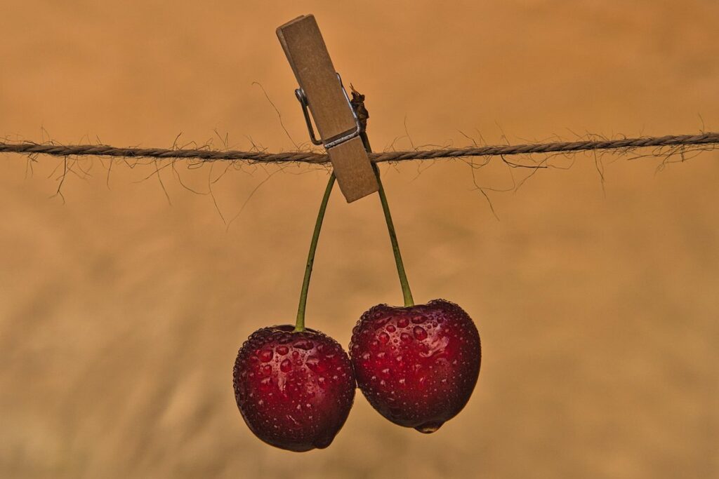 self watering container garden