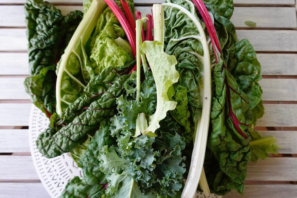 swiss chard care