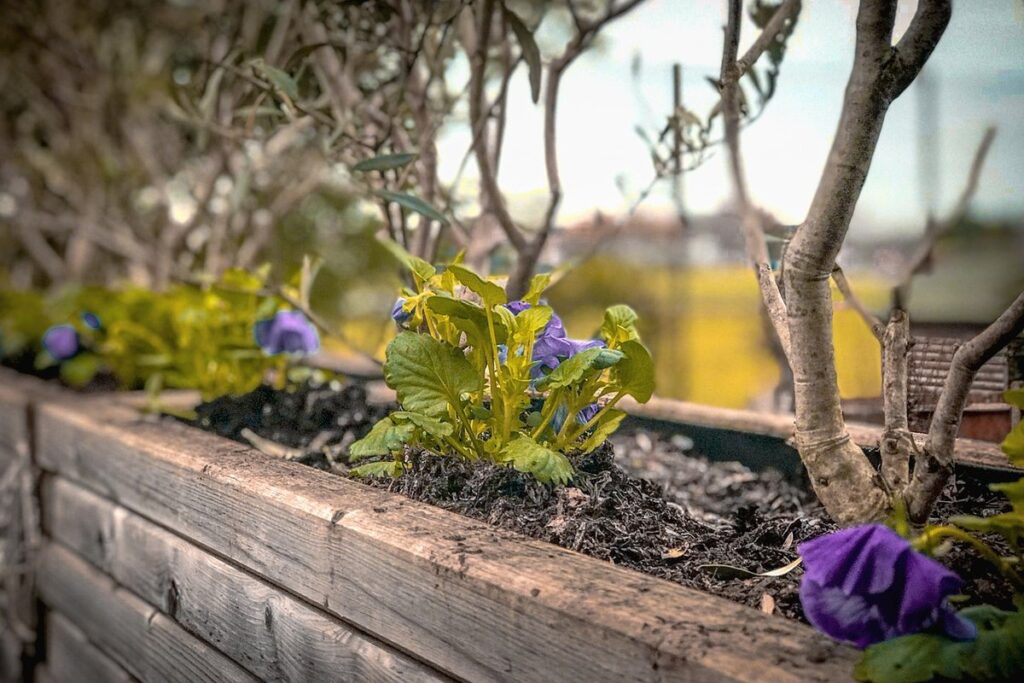 best wood for garden beds