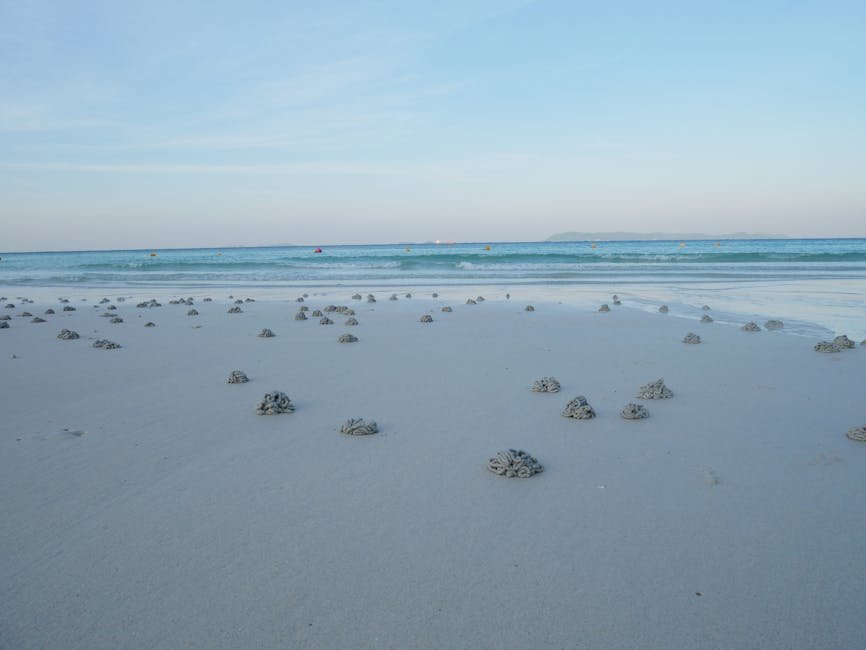 worm castings in garden -> worm castings